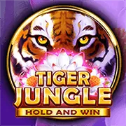 Cách thắng trò chơi slot bj66 App