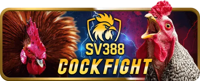 Khuyến Mãi Hoàn Trả Bj66 App